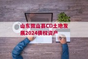 山东微山县CD土地发展2024债权资产