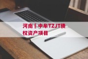 河南•中牟TZJT债权资产项目