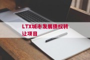 LTX城市发展债权转让项目