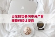 山东阳信县城市资产管理债权转让项目
