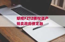 鄢陵FZTZ债权资产拍卖政府债定融