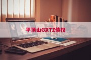 平顶山GXTZ债权