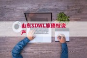 山东SDWL旅债权资产