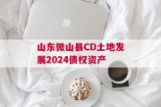 山东微山县CD土地发展2024债权资产