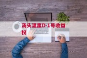 汤头温泉D-1号收益权