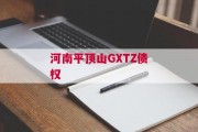 河南平顶山GXTZ债权