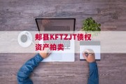 郏县KFTZJT债权资产拍卖