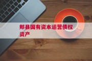 郏县国有资本运营债权资产
