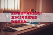 武陟县城市建设投资开发2025年债权项目政府债定融