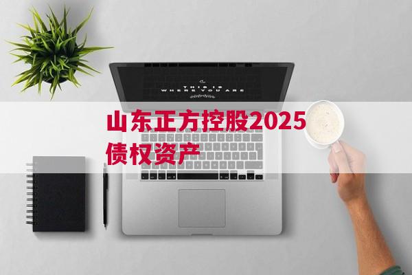 山东正方控股2025债权资产