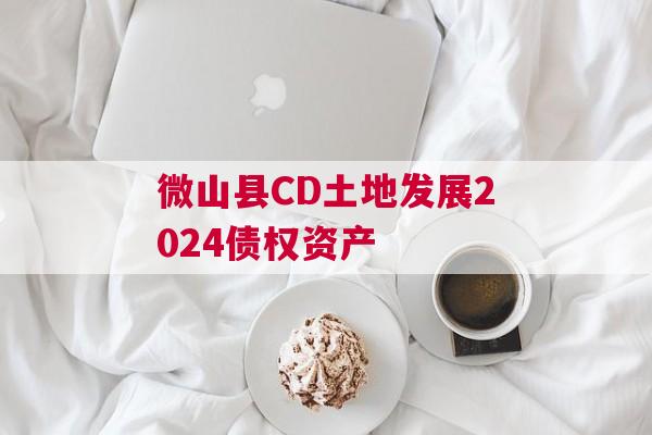 微山县CD土地发展2024债权资产