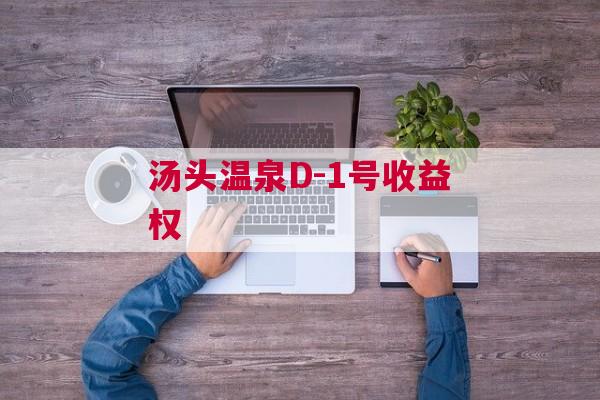 汤头温泉D-1号收益权