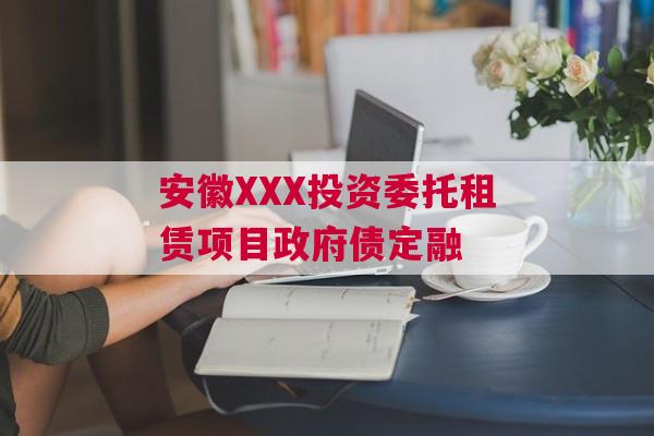 安徽XXX投资委托租赁项目政府债定融