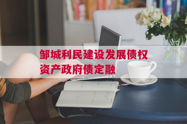 邹城利民建设发展债权资产政府债定融
