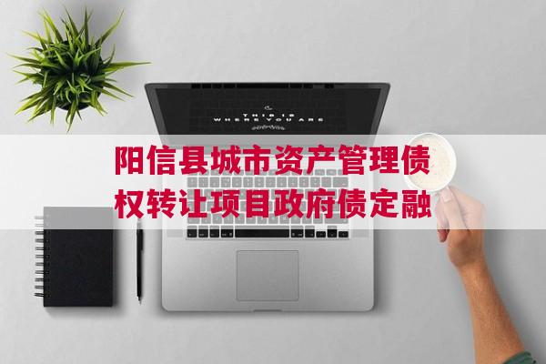 阳信县城市资产管理债权转让项目政府债定融