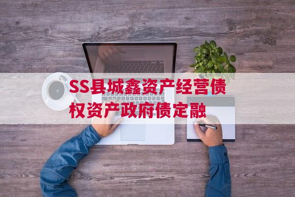 SS县城鑫资产经营债权资产政府债定融