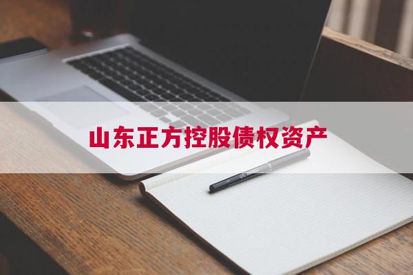 山东正方控股债权资产