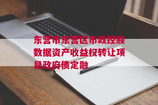 东营市东营区市政控股数据资产收益权转让项目政府债定融