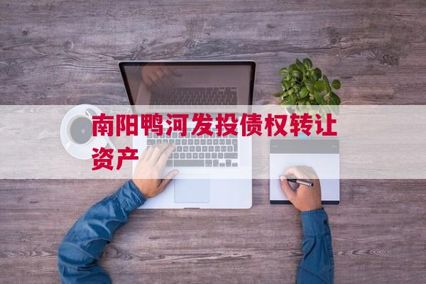 南阳鸭河发投债权转让资产