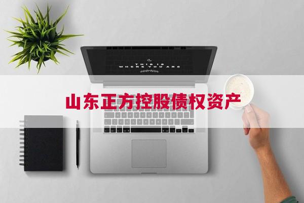 山东正方控股债权资产