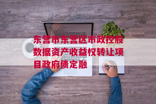 东营市东营区市政控股数据资产收益权转让项目政府债定融