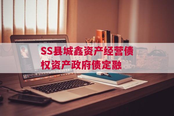 SS县城鑫资产经营债权资产政府债定融