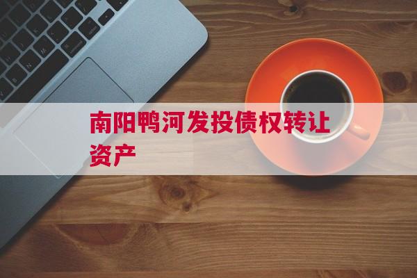 南阳鸭河发投债权转让资产