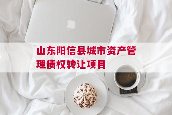 山东阳信县城市资产管理债权转让项目