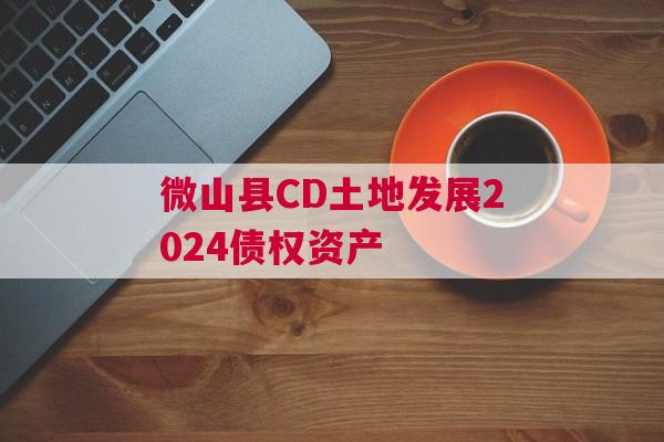 微山县CD土地发展2024债权资产