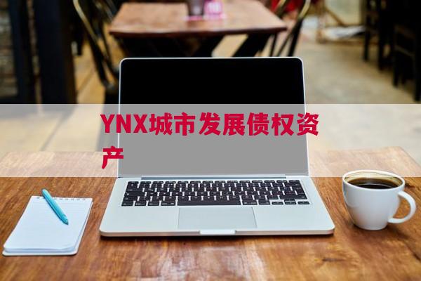 YNX城市发展债权资产