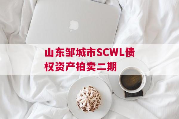 山东邹城市SCWL债权资产拍卖二期