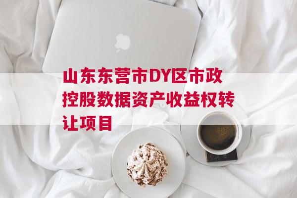 山东东营市DY区市政控股数据资产收益权转让项目