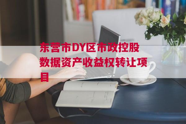 东营市DY区市政控股数据资产收益权转让项目