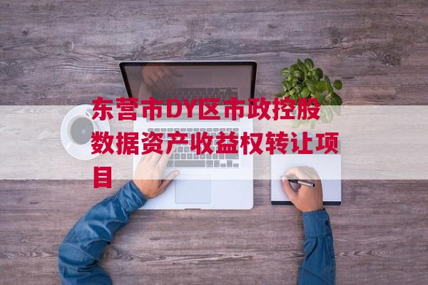 东营市DY区市政控股数据资产收益权转让项目