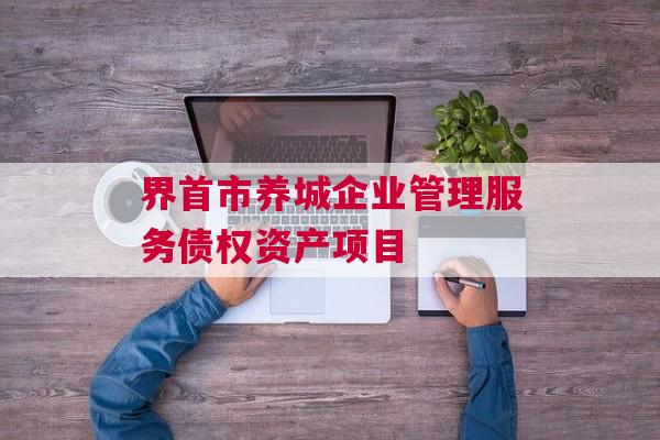 界首市养城企业管理服务债权资产项目