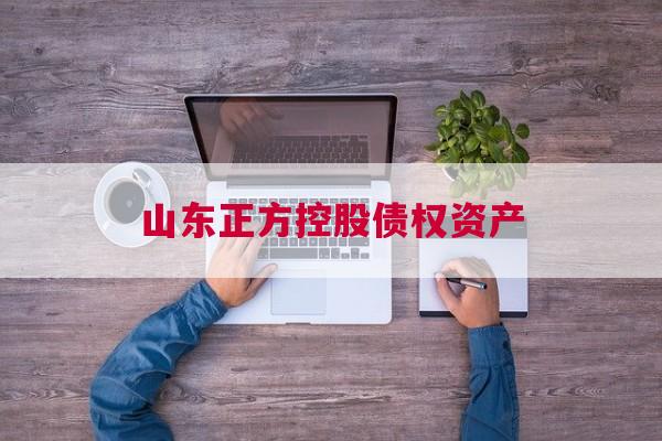 山东正方控股债权资产