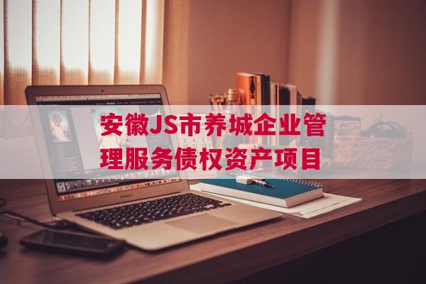 安徽JS市养城企业管理服务债权资产项目