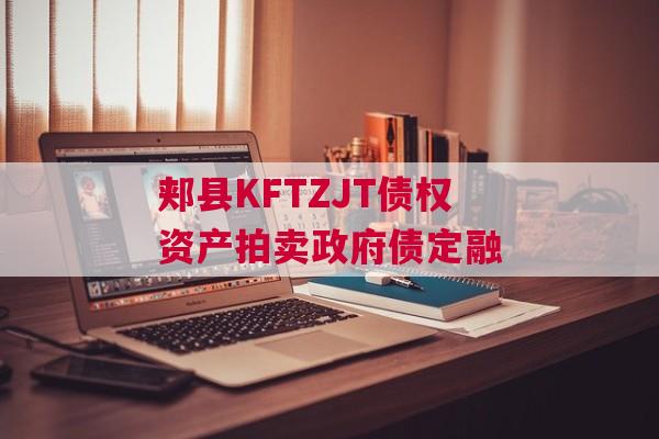 郏县KFTZJT债权资产拍卖政府债定融