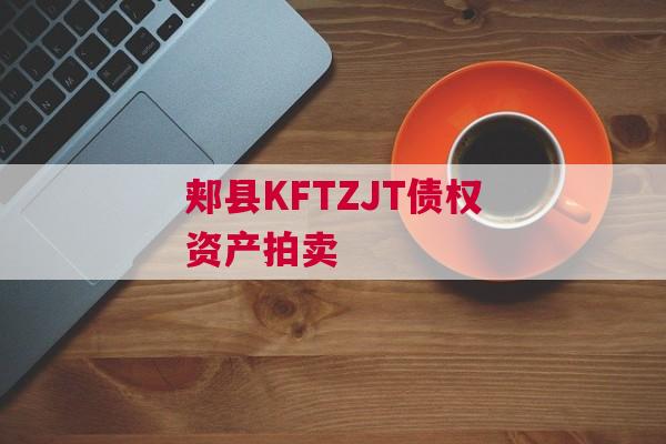 郏县KFTZJT债权资产拍卖