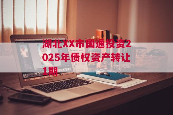 湖北XX市国通投资2025年债权资产转让1期