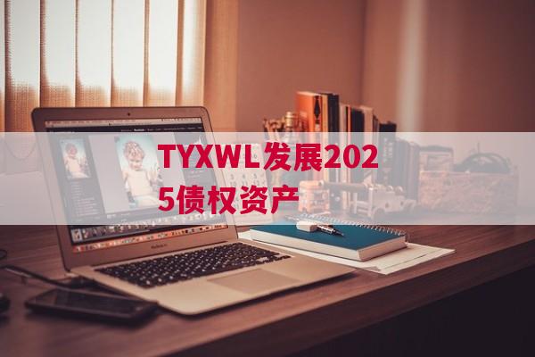TYXWL发展2025债权资产