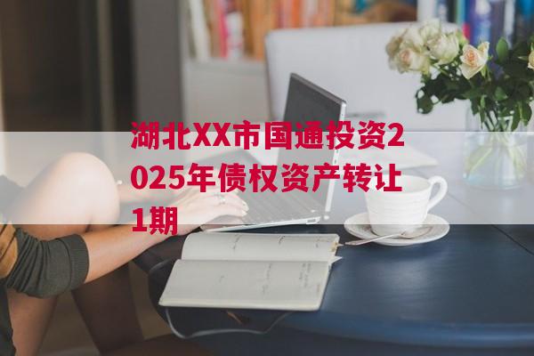 湖北XX市国通投资2025年债权资产转让1期