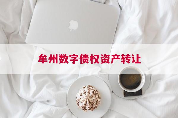 牟州数字债权资产转让