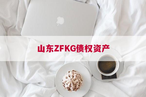 山东ZFKG债权资产