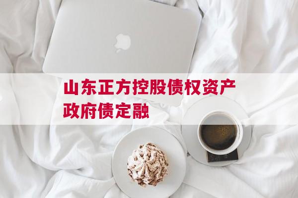 山东正方控股债权资产政府债定融