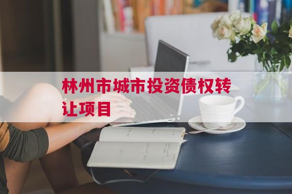 林州市城市投资债权转让项目