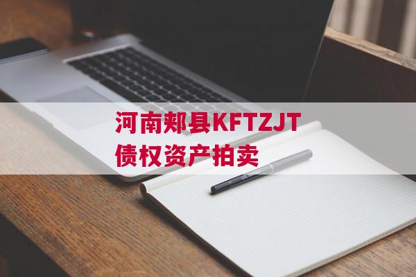 河南郏县KFTZJT债权资产拍卖