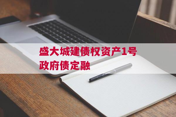 盛大城建债权资产1号政府债定融