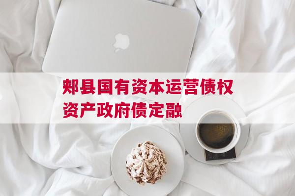 郏县国有资本运营债权资产政府债定融
