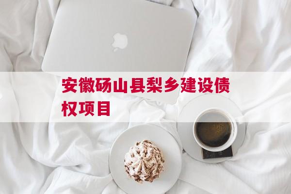 安徽砀山县梨乡建设债权项目